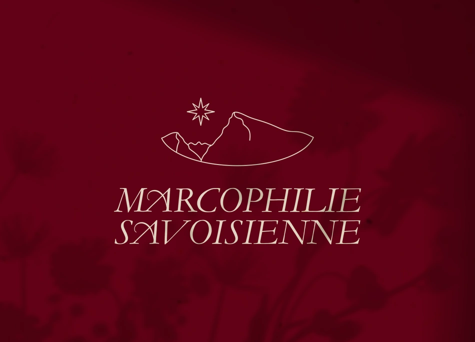 Identité graphique