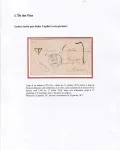 LETTRE D'UN DETENU A L'ILE DE NOU NOUVELLE CALEDONIE 31 OCTOBRE 1876 POUR BEAUMONT SUR VESLE MARNE ARRIVE 18 JANVIER 1877 COMMUNE DE PARIS